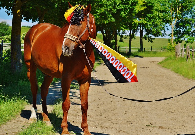 更代表了中 更代表了中
